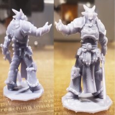 D&D Dragonborn Paladin V2 3D Printer Model