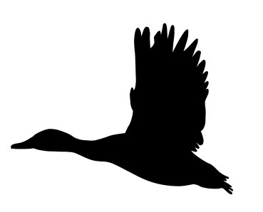 arquivo dxf de silhueta voadora de pato-real
