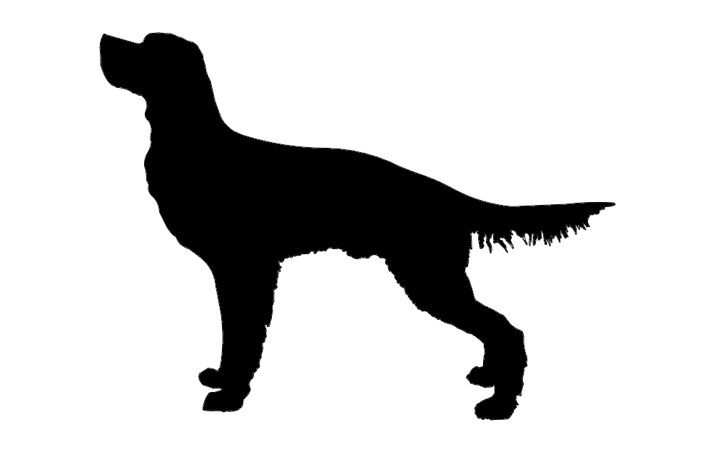 dxf फ़ाइल के शिकार के लिए कुत्ता