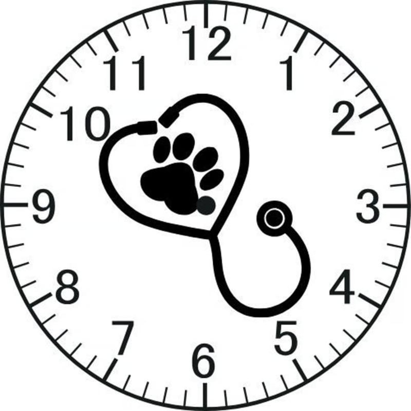 Laser Cut Veterinary Clinic Wall Clock Veterinarian Gift