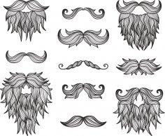 Conjunto de barba de bigotes
