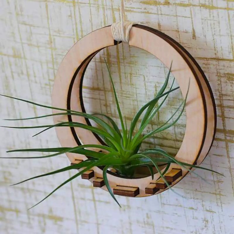 Laser Cut Air Plant Holder