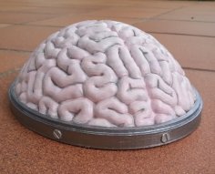 Brain Hat 3D Printer Model