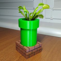 Mario Pipe Flower Pot 3D Printer Model