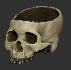 Halloween Skull Bowl 3D Printer Model