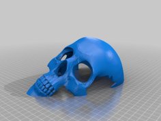 Reptile Or Trantula Skull Shaped Hide 3D Printer Model