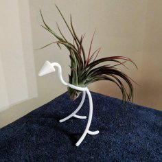 Bird Air Plant Holder 3D Printer Model