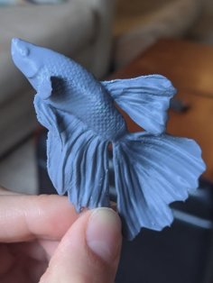 Beta Fish 3D Printer Model