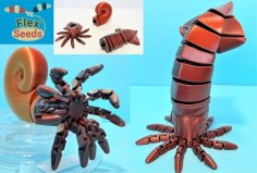 Flexi Squid & Ammonite Set 3D Printer Model