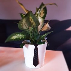 Planter Pot Tie MUSKOT 3D Printer Model