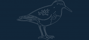 Bird Sitting dxf file