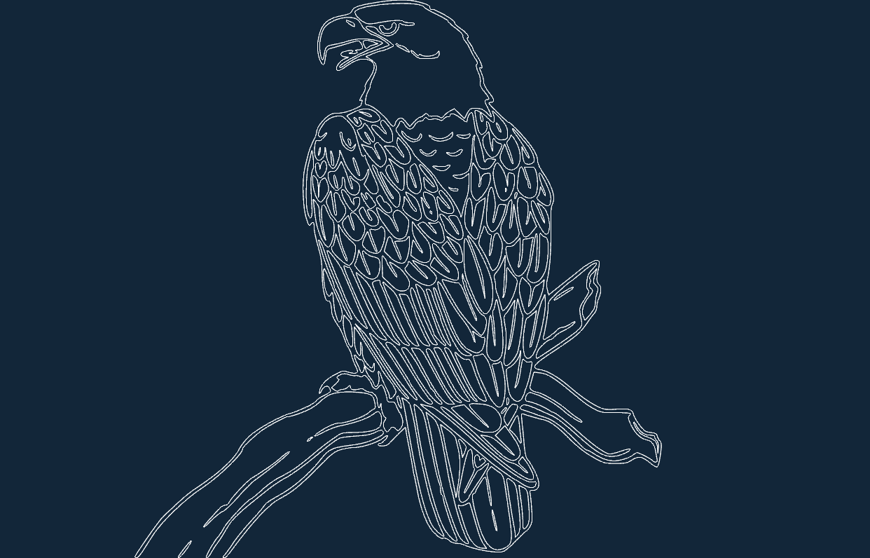 Белоголовый орлан dxf