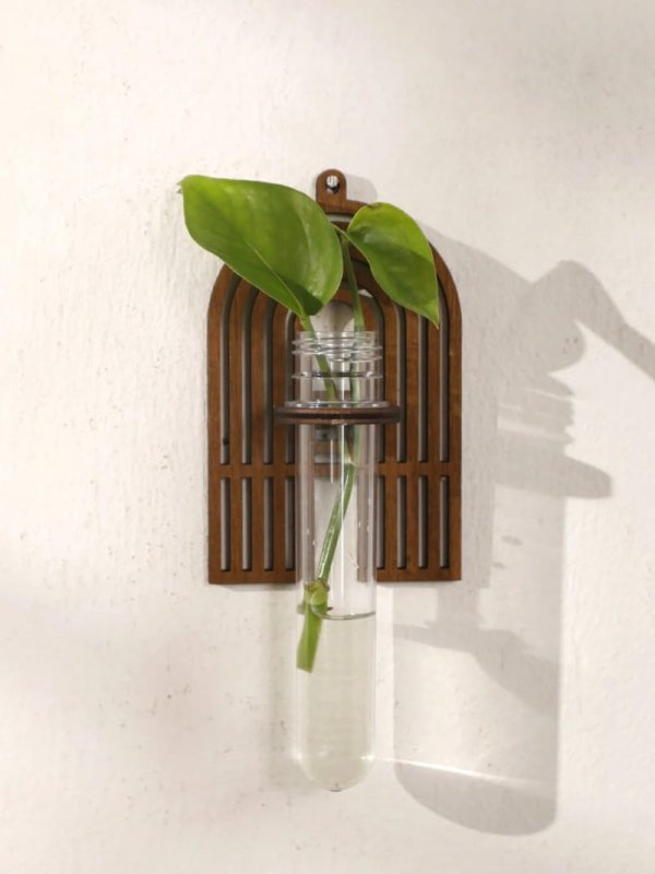 Laser Cut Letter A Shape Plant Propagation Station