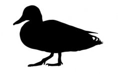File dxf grasso Mallard Duck