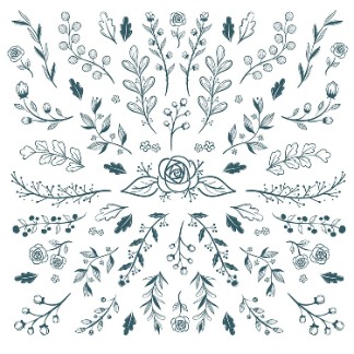 Floral Patterns Free Vector