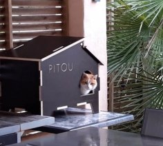 Laserowo wycinany domek dla kota