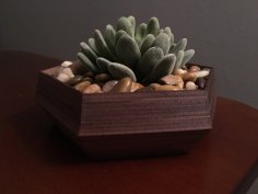 Hexagonal Succulent Planter 3D Printer Model