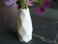 Faceted Vase 4 3D Printer Model