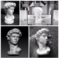 Statue Of David Head 3D Printer Model