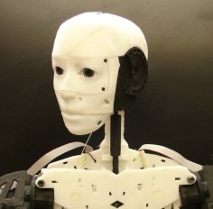 Head For Robot InMoov 3D Printer Model