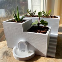 Santorini Succulent Planter (w/ Drains That Fill Pool!) 3D Printer Model