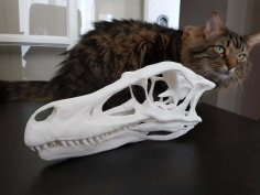 Full Size Velociraptor Skull – Easier Print 3D Printer Model