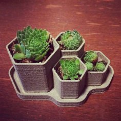 Hex Planter 3D Printer Model