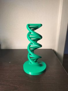 DNA Scale Model 3D Printer Model