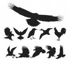 Pack de vecteur de silhouette d'oiseaux