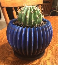 Cactus Planter With Drainage Tray 3D Printer Model