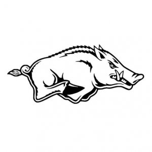 Arkansas Razorback dxf