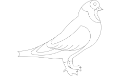 Fichier dxf de pigeon