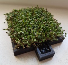 Cress Farm (growing Sprouts) 3D Printer Model