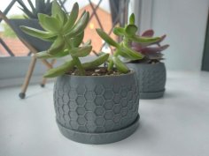 Succulent Planter – Honeycomb Design 3D Printer Model