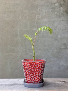 Flower Plant Pot With And Without Cup 3D Printer Model