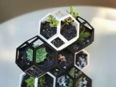 Plantygon – Modular Geometric Stacking Planter For Succulents 3D Printer Model