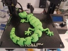 Curled Articulated Lizard 3D Printer Model