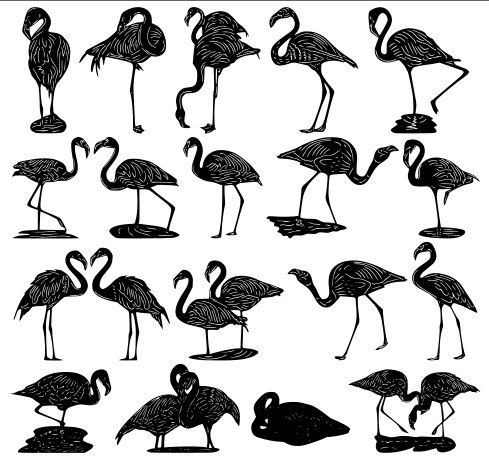 Flamingos-Vektorpaket