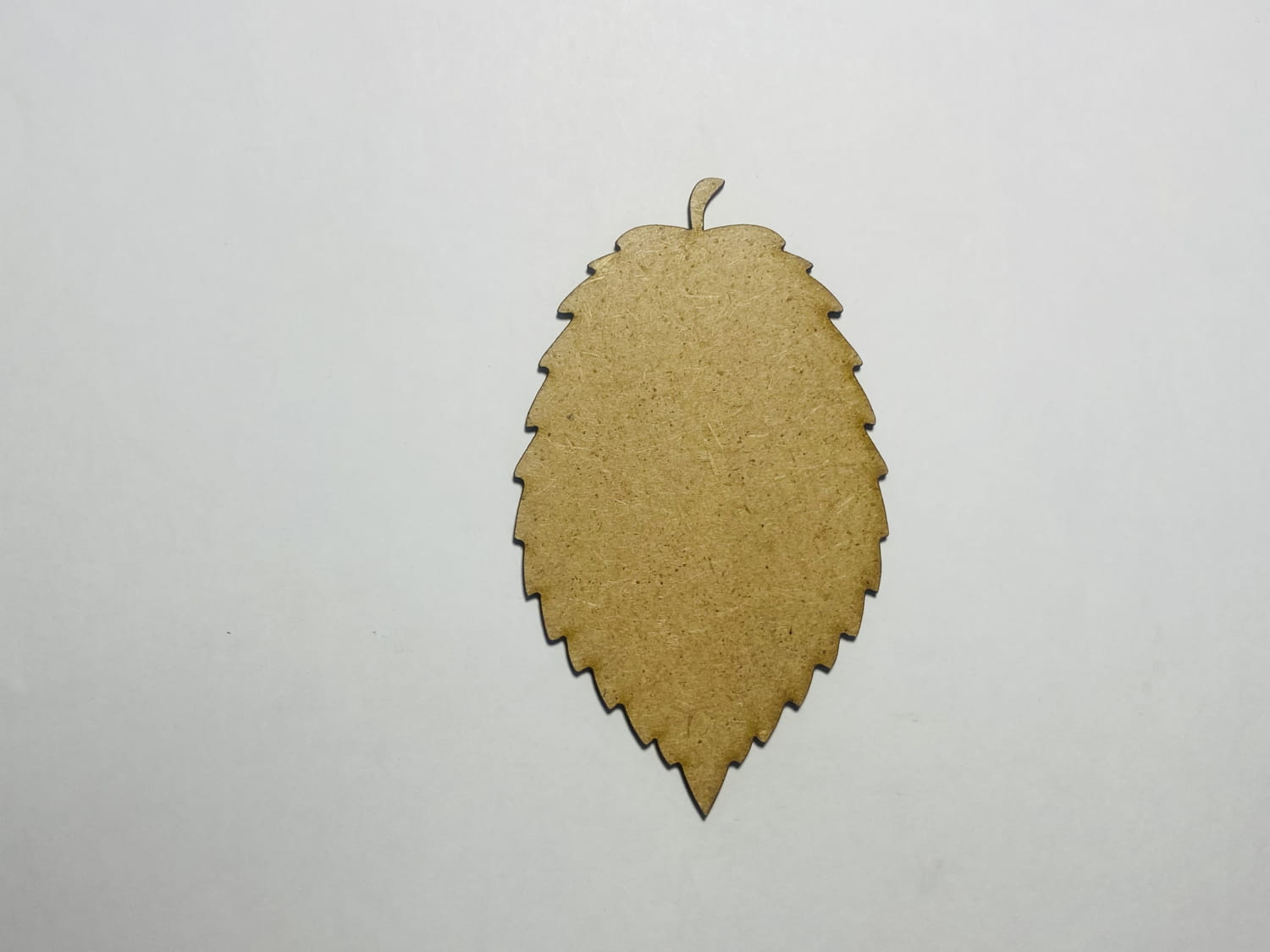 Laser Cut Unfinished Wooden Elm Leaf Cutout Free Vector